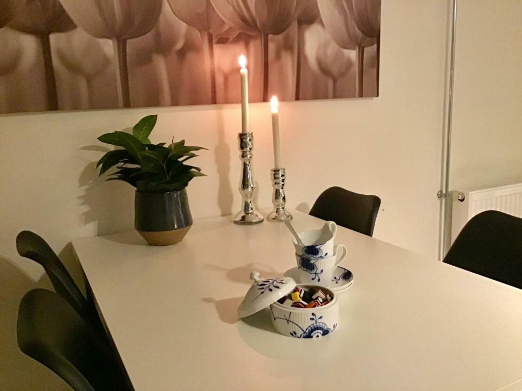 Special Offer,One Of Its Kind, Extremely Central In Herning, Danish Hosts, Extremely Clean, Very Quiet Street But A Stonethrough From Bars & Restaurants Exterior foto